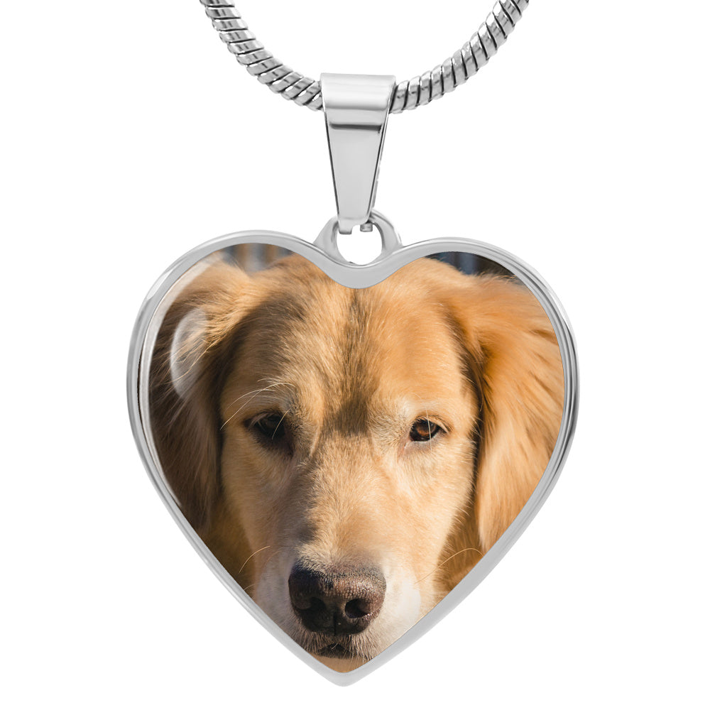 Personalized pet photo heart necklace in polished steel, a heart pendant printed with your pet's photo on a snake chain.