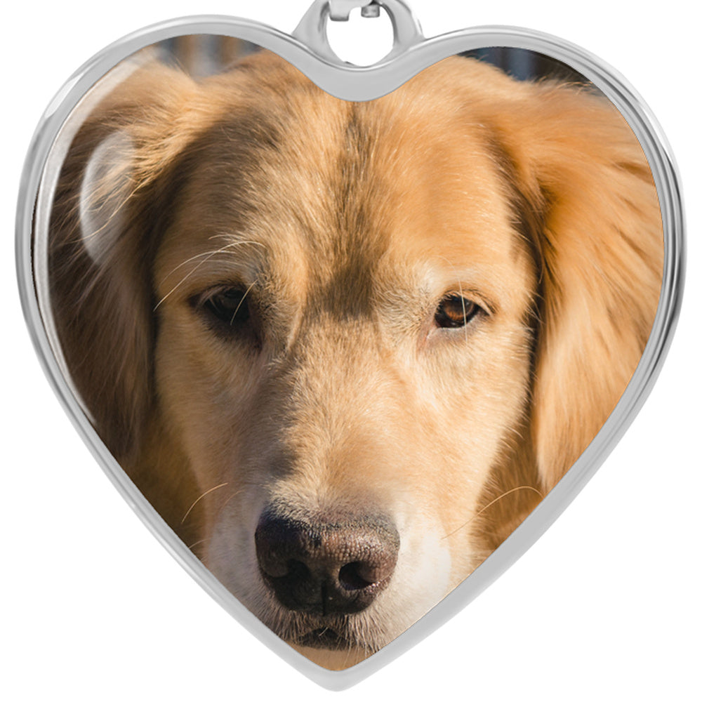 Close-up of the steel heart pendant printed with a golden retriever photo, framed by a polished bezel.