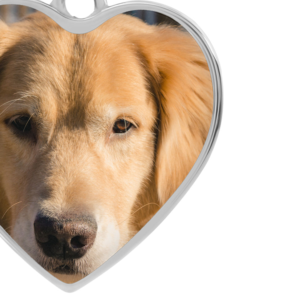 Lower edge of the photo heart pendant, showing the polished steel bezel wrapping the printed pet photo.
